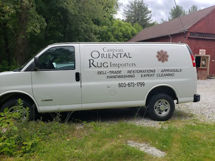 Caspian oriental rugs importers Picture 3