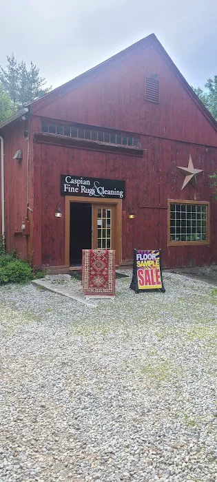 Caspian oriental rugs importers Picture 4