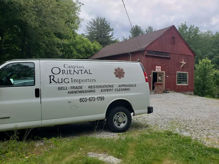Caspian oriental rugs importers Picture 5