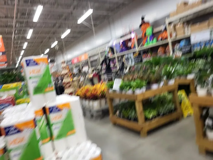 The Home Depot Picture 6