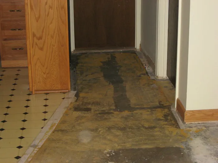 Vinnie Soucar Carpet Co Picture 4