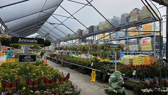 The Home Depot Picture 1