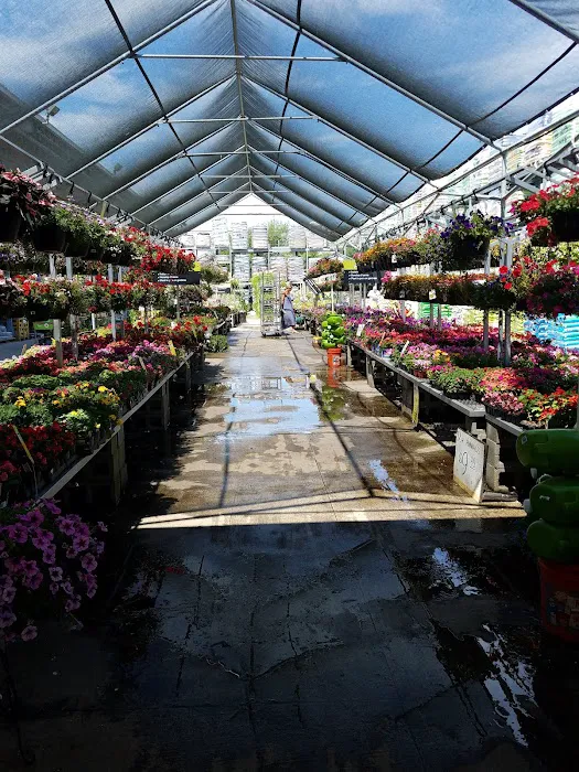 The Home Depot Picture 7