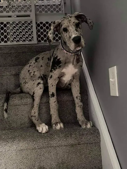 FAB Flooring INC Picture 9