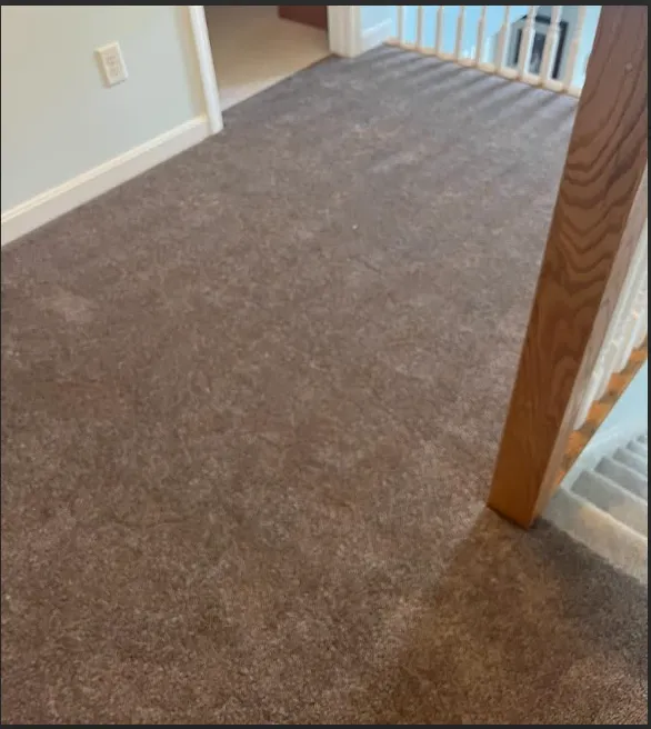 Chenard's Carpet Shop-Home Services Picture 1