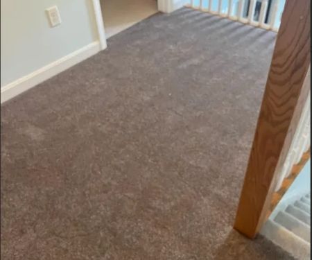 Chenard's Carpet Shop-Home Services