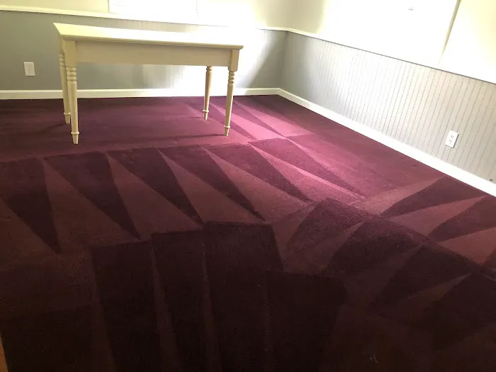 Stanley Steemer Picture 10