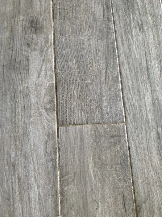 Stanley Steemer Picture 7