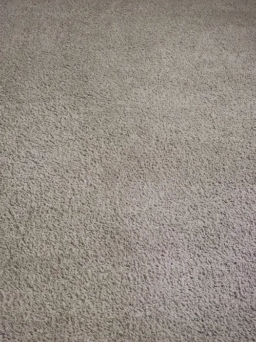 Stanley Steemer Picture 4