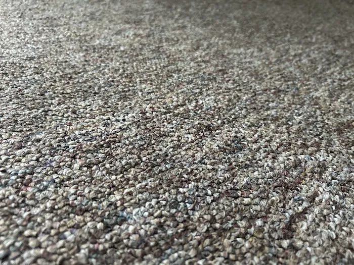 Stanley Steemer Picture 3