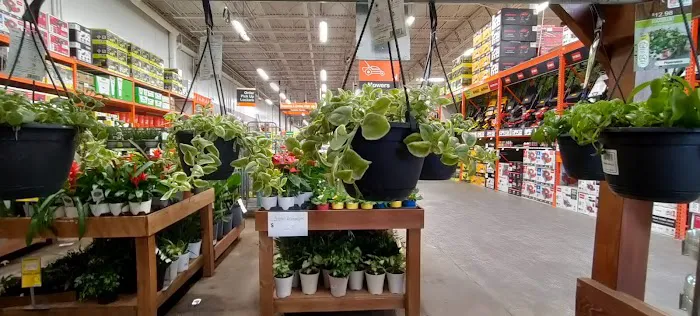 The Home Depot Picture 3