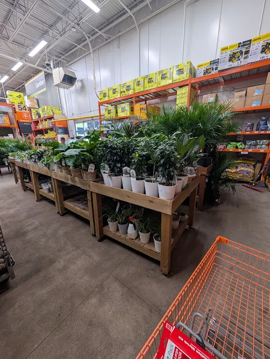 The Home Depot Picture 7