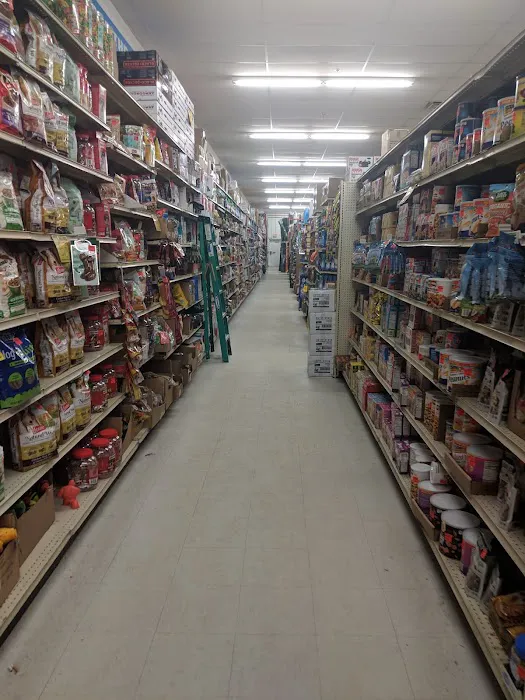 Ollie's Bargain Outlet Picture 4