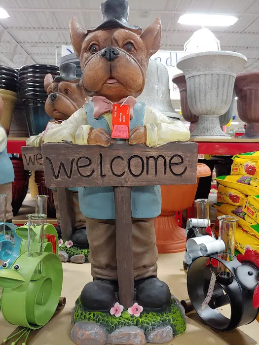 Ollie's Bargain Outlet Picture 7