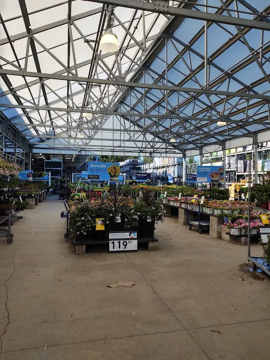 Lowe's Home Improvement Picture 8