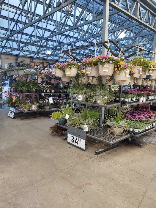 Lowe's Home Improvement Picture 4