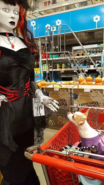 Lowe's Home Improvement Picture 2