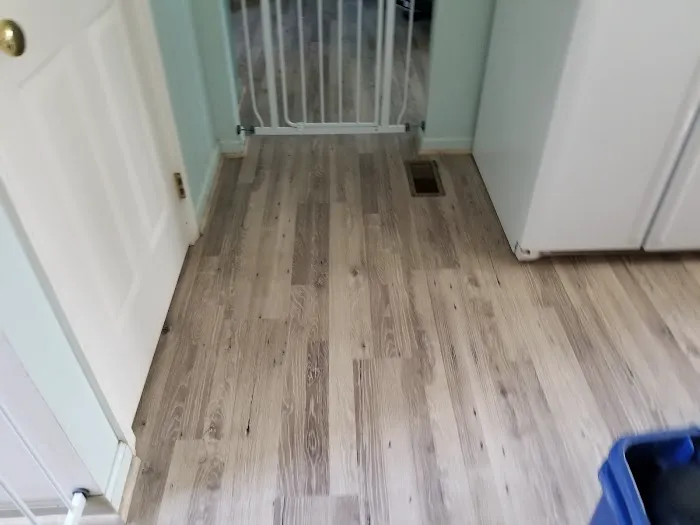 Carpet Ready Picture 3