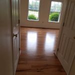 Carpet Ready