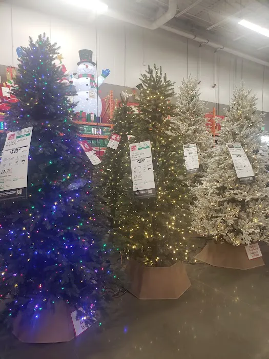 The Home Depot Picture 10