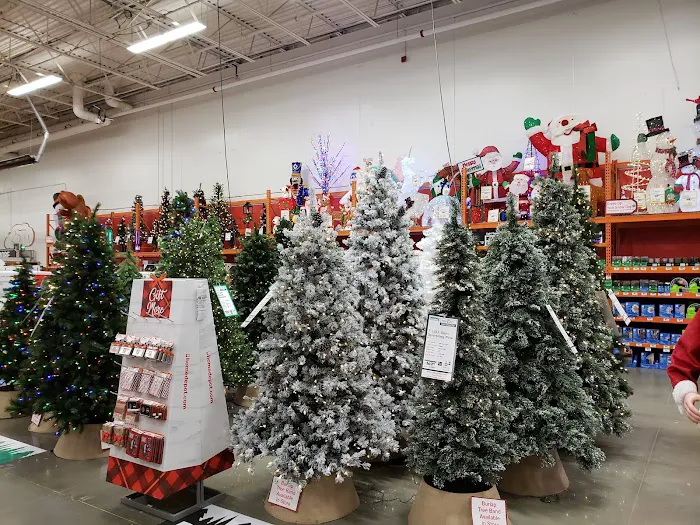 The Home Depot Picture 8