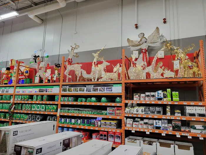 The Home Depot Picture 9