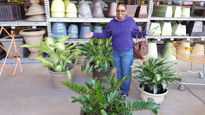 The Home Depot Picture 3