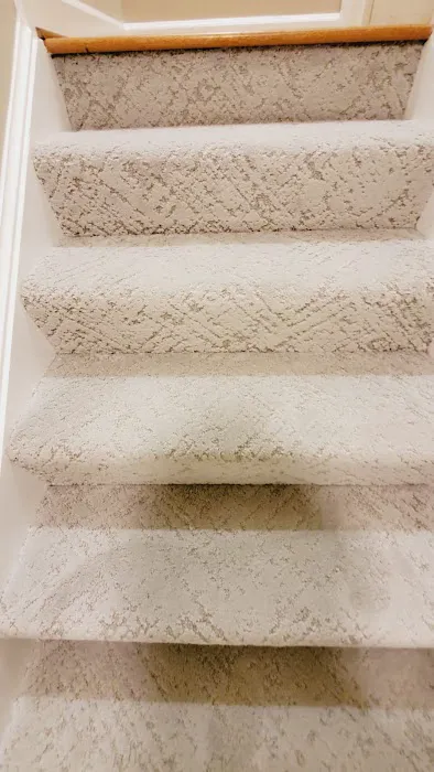 Carpet Center Inc Picture 4