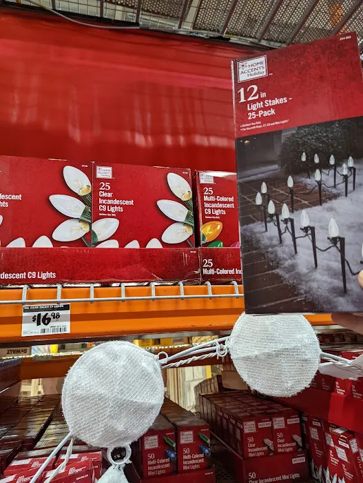 The Home Depot Picture 7