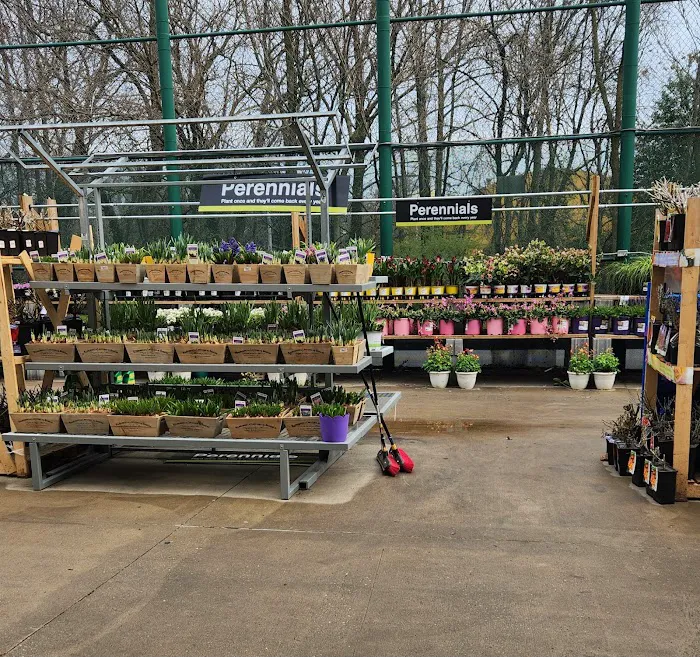 The Home Depot Picture 10