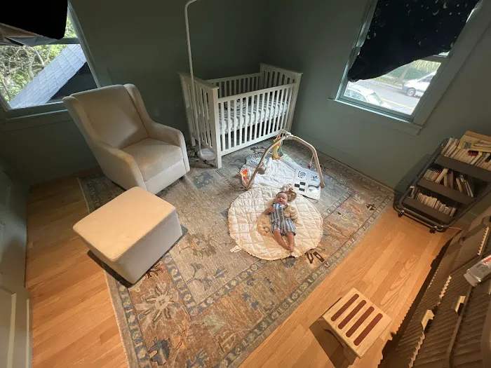 Wasiq Oriental Rugs Picture 5