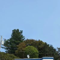 New England Imported Rug Gallery ico