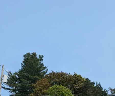 New England Imported Rug Gallery