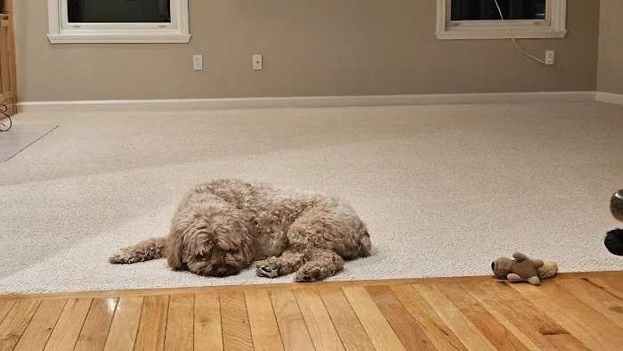 Essex Flooring Connection Inc. Picture 7