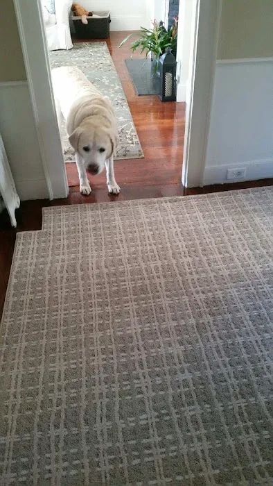 Post Road Carpet Picture 1