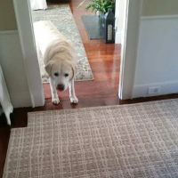 Post Road Carpet ico