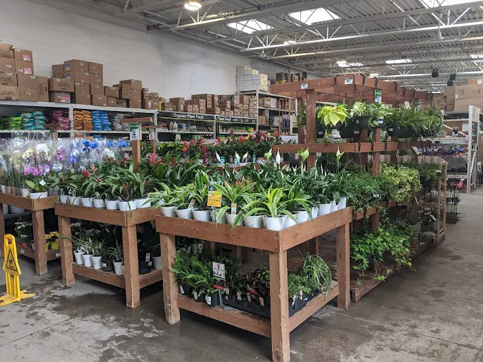 The Home Depot Picture 2