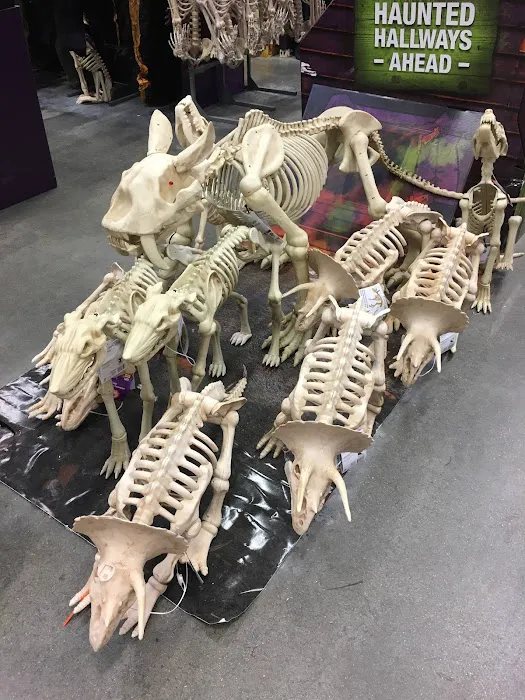 The Home Depot Picture 6