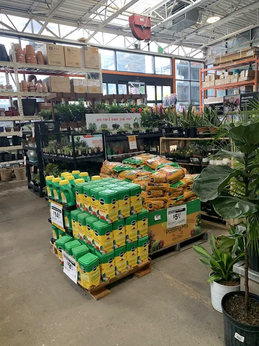 The Home Depot Picture 10