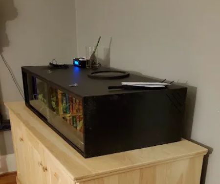 Woodstuff Furniture-Oriental Rug