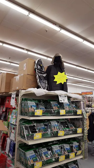 Ocean State Job Lot Picture 6