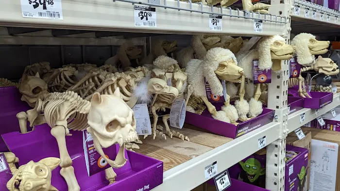 The Home Depot Picture 9