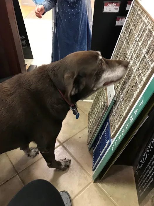 Floors To The Trade Picture 2