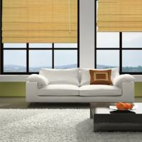 Window Flair, Inc. ico