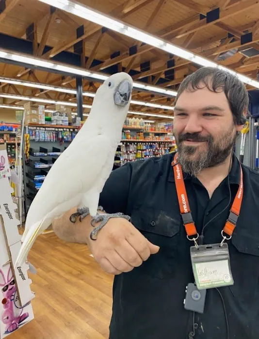 Aubuchon Ace Hardware Picture 8