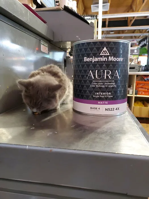 Aubuchon Ace Hardware Picture 1