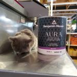 Aubuchon Ace Hardware