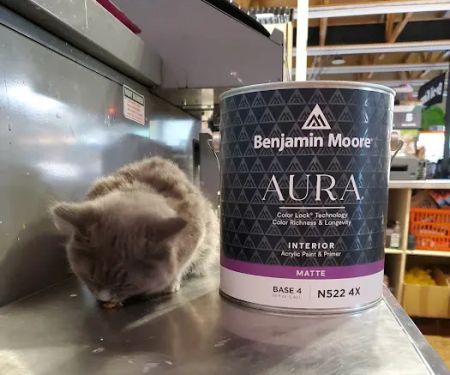 Aubuchon Ace Hardware