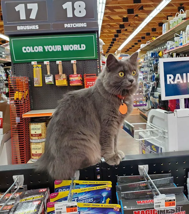 Aubuchon Ace Hardware Picture 4