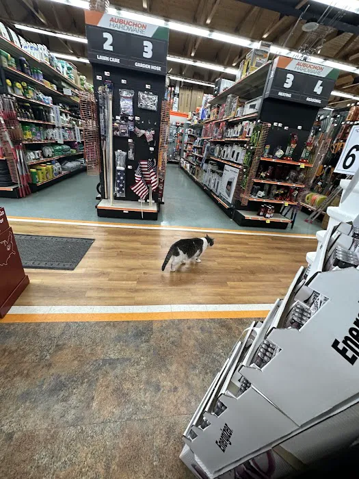 Aubuchon Ace Hardware Picture 10